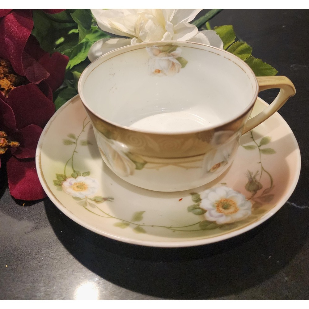 RS Germany Teacup SHC Bavaria Saucer Mismatched Antique Floral Porcelain Set